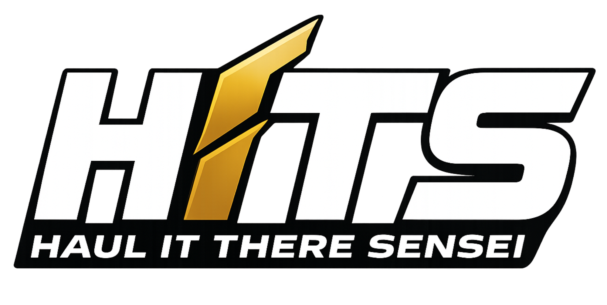 HITS Logo